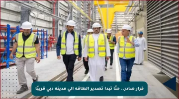 قرار صادر.. حتّا تبدأ تصدير الطاقة إلى مدينة دبي قريبًا